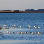 Vissala Village וילה *